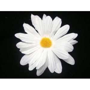    NEW Small Bright White Daisy Hair Flower Clip, Limited.: Beauty