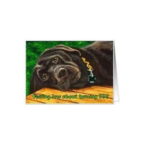  Funny Birthday ~ 50 Years Old ~ Labrador Dog Card: Toys 