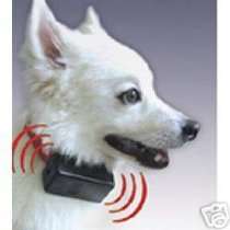 shock collars for dogs at radio   ELECTRONIC NO BARK COLLAR STOP DOG 