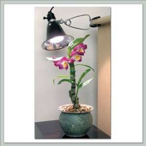  Bonsai Tree Clamp On Grow Light Kit   60 watts: Patio 