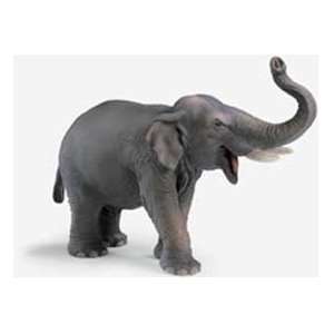  Schleich Indian Elephant Male 14144 Toys & Games