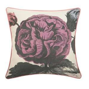  Thomaspaul   Botanical Rose 18 Pillow