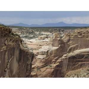  Chuska Mountains on the New Mexico Border Seen from Canyon 
