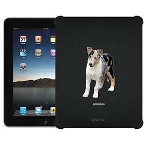   Smooth Collie on iPad 1st Generation XGear Blackout Case: Electronics