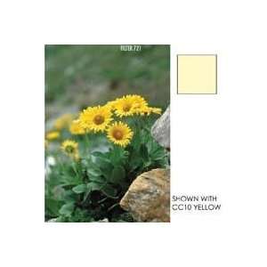 Cokin Z Pro Series Yellow Color Correction Filter CC50Y   4x 4/100mm 