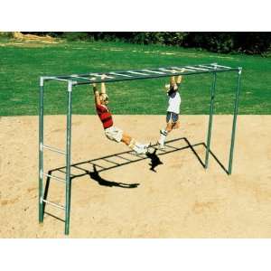   : Sport Play 501 410 Jr. Horizontal Ladder   Galvanized: Toys & Games