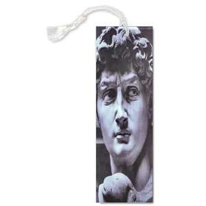    Fine Art Michelangelo David Detail Bookmark