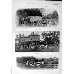  1900 Cambridgeshire Foxhounds Oaklands Hunting Horses 