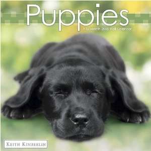  Keith Kimberlin Puppies 2008 Wall Calendar: Office 