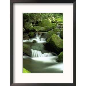 Stream, Great Smoky Mountain National Park, TN Framed Photographic 