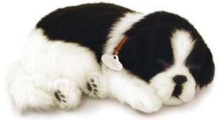 *** Perfect Petzzz Sleepy Border Collie Please Bring 