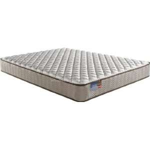  BeautySleep M91271.70.8129 Crossgate Firm Mattress