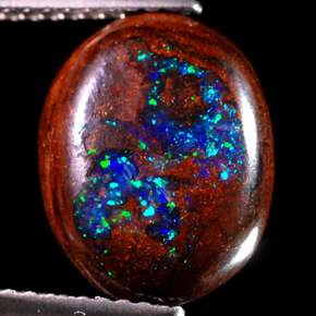 51ct.AWESOME MULTI COLOR BRIGHT Yowah Boulder OPAL  