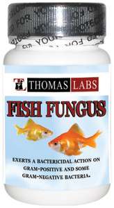 Fish Fungus 200mg (Ketoconazole) 100ct 725068001492  