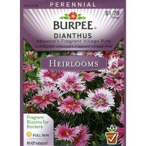   42879 Heirloom Dianthus Allwoods Fragrant Village Pinks Seed Packet