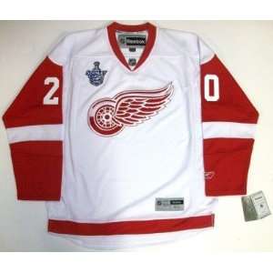 Aaron Downey 08 Cup Detroit Red Wings Rbk Jersey Real   Small