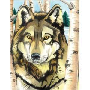  Color By Number Kit 9X12 Wolf (PPCN 19) Toys & Games