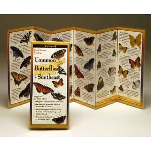   LEWERSBUS101 Common Butterflies Southeast Book