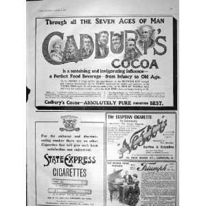  1904 CADBURYS COCOA EXPRESS CIGARETTES TRIUMPH PIANOS 