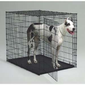  MidWest Home Training Starter Series Dog Crate: Pet 