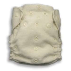   Caboose Cotton One Size Fitted Cloth Diaper w/Snap in Insert: Baby
