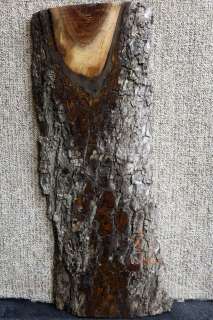   Figured Black Walnut Rustic Project Craftwood Lumber Slab 4988  