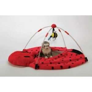   Pet Products Ferret Bedbug Play Center Medium   FT 308