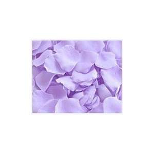    500 Silk Lavender Rose Petals Wedding Party Favors 