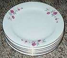 Slimware Downtown Chic Portion Conscious Dinner Plates  