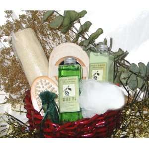  Lavish in Green Tea Spa Gift Basket: Health & Personal 