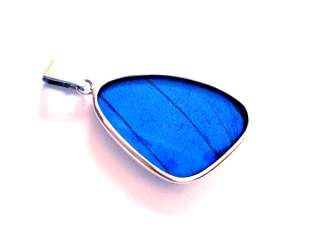 Real Butterfly Wing .950 Sterling Silver Necklace Morpho didius 
