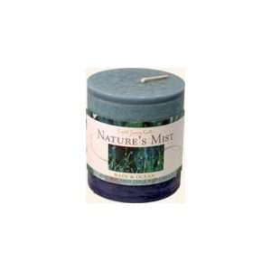  Natures Mist Natural Wax Aromatherapy Soy Candle