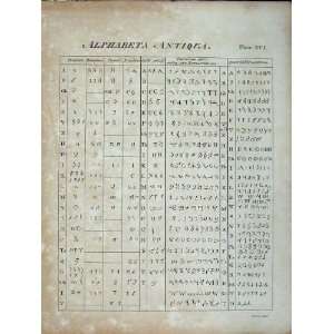   : Encyclopaedia Britannica Alphabeta Antiqua Numerals: Home & Kitchen