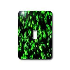   Pretty Green Christmas Lights   Light Switch Covers   single toggle
