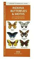 Indiana Butterflies and Moths An Introduction to Familiar Species