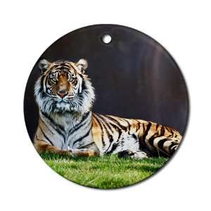  Ornament (Round) Bengal Tiger Stare HD 