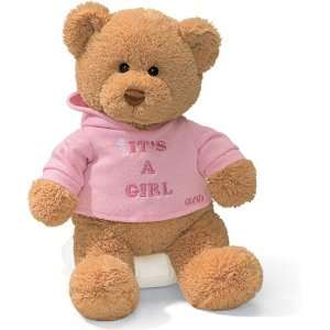  Gund Hugs Its a Girl Bear: Toys & Games