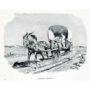  1901 Print Pack Mule Cart Animals Landscape Lerida Spain 