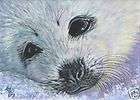 akiko l e aceo print of harp seal pup 3 painting art  
