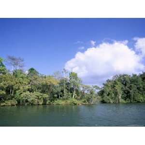  on Gatun Lake, Soberania Forest National Park, Panama Canal, Panama 