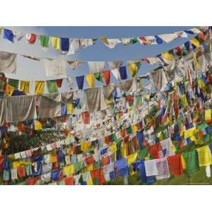  Prayer Flags, Mcleod Ganj, Dharamsala, Himachal Pradesh 