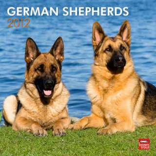 German Shepherds 2012 Wall Calendar 9781421677644  