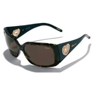 Chopard Sch065s Havana / Brown Sunglasses