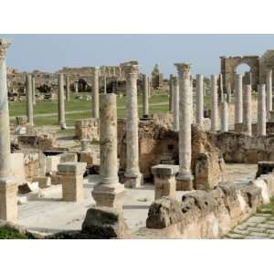  of Hadrianic Bath, Leptis Magna, UNESCO World Heritage Site, Libya 