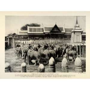  1927 Print Corralling Trained Wild Elephants Siam Thailand 