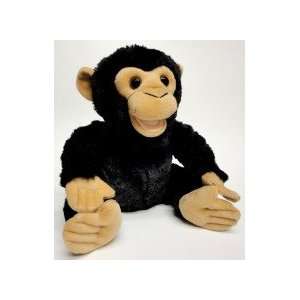  Coco Chimp   Zoocational Toys & Games