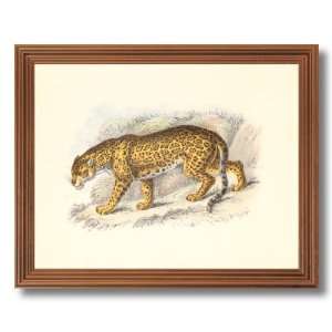 Framed Oak Tropical Jaguar Cat Hunting Animal Wildlife Picture Art 
