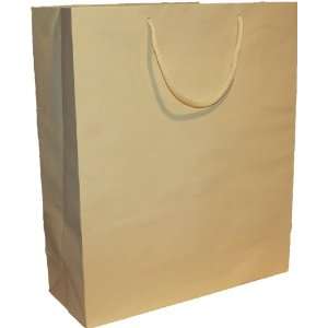  25 Ivory Color Heavy Paper Tint tote with Soft Cord Handle 