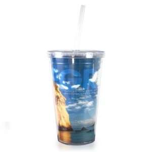   Integrity Rock 16oz Acrylic Straw Tumbler