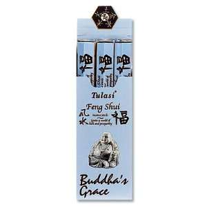  Feng Shui Water   20 Stick Hex Tube   Tulasi Incense